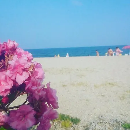 Island Vrasná