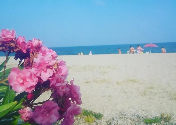 Island Vrasná